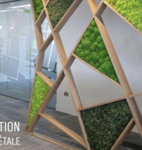 Geometric Moss Partition