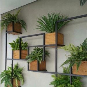 Wall-Mounted Plant Display
