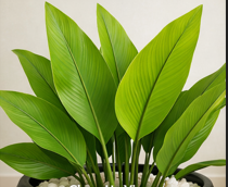 Artificial Green Snake Plant - Image 2