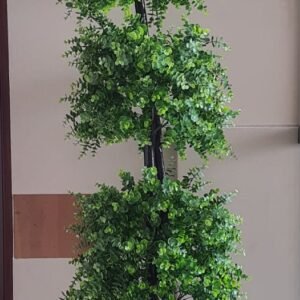 Triple Cluster Indoor Plant