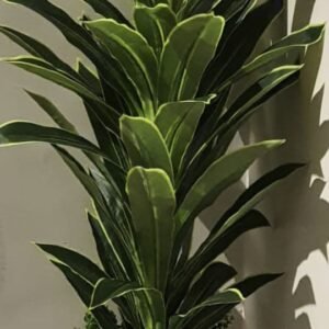 Artificial Snake Plant