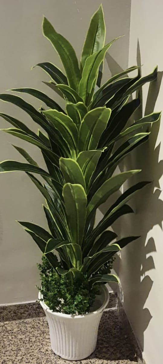 Artificial Snake Plant