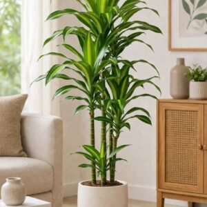 Artificial Green Indoor Plant